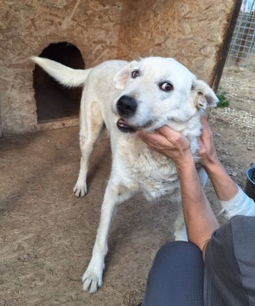 EDDY unser liebevoller Opa