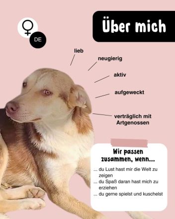 LARA möchte die Natur entdecken