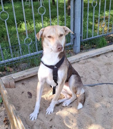 LARA möchte die Natur entdecken