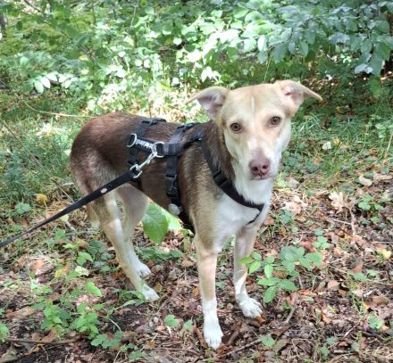 LARA möchte die Natur entdecken