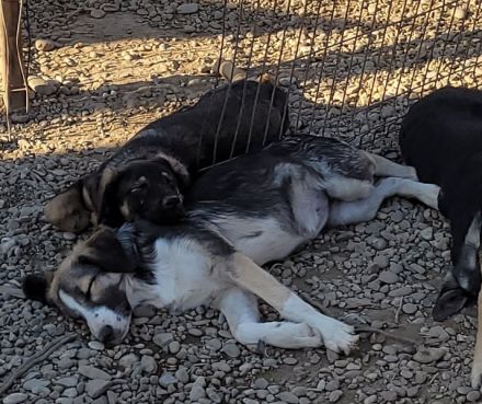 JULI sucht ihre Menschen