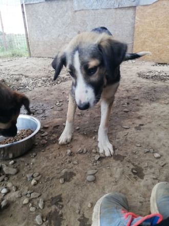 JULI sucht ihre Menschen