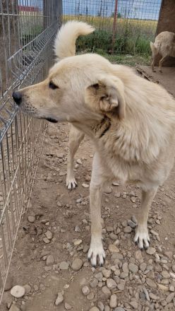 SNICKERS - zum anbeißen süß?