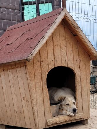 FLOKI - zeigst du mir die Welt?