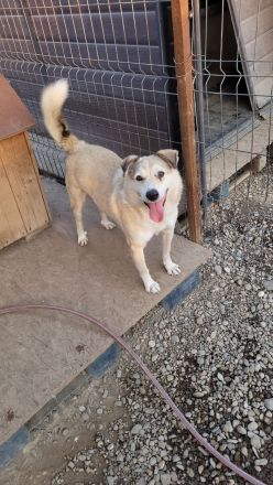 FLOKI - zeigst du mir die Welt?