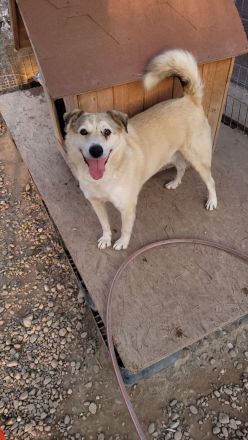 FLOKI - zeigst du mir die Welt?