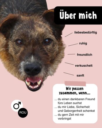 STORMY möchte endlich ankommen