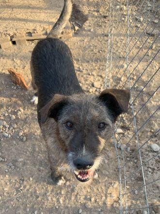 STORMY möchte endlich ankommen