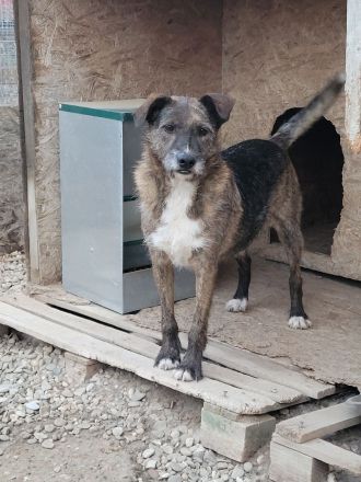 STORMY möchte endlich ankommen