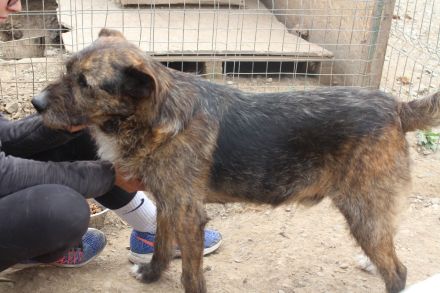 STORMY möchte endlich ankommen