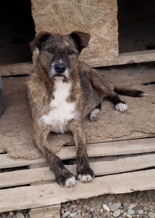STORMY möchte endlich ankommen