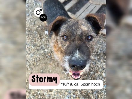 STORMY möchte endlich ankommen