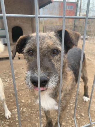 STORMY möchte endlich ankommen