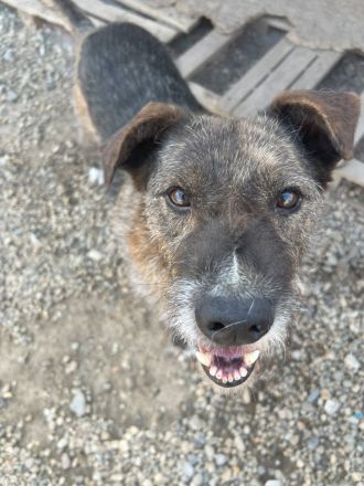 STORMY möchte endlich ankommen