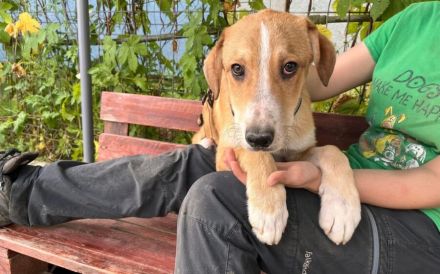 Wer gibt Suna eine Chance?