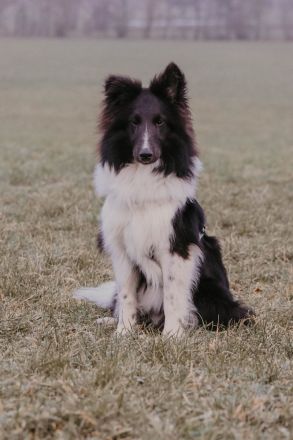 Zoel-Sam of Melena‘s Dream