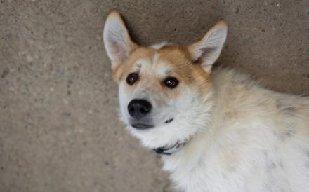 Semmerl wartet auf seine Chance