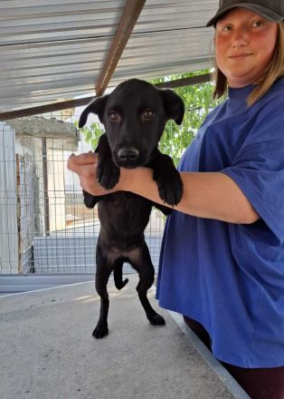 Nami sucht ihr Für-immer-Zuhause