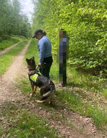 Reinrassige Deutsche Schäferhündin sucht zuhause