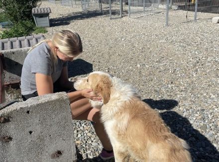 Prachtbursche Winnie sucht seine Herzensmenschen