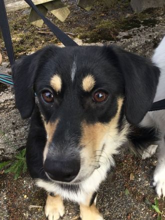 SAMY - lieber, kleiner Knopf