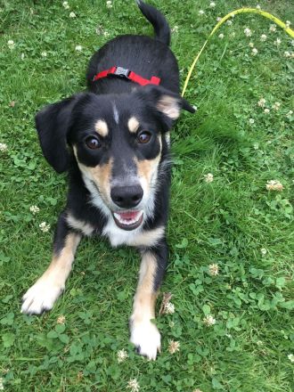 SAMY - lieber, kleiner Knopf