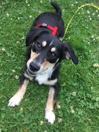 SAMY - lieber, kleiner Knopf