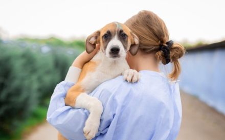 Hunde-Kind Benjamin Blümchen