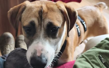 Benjamin Blümchen sucht dich