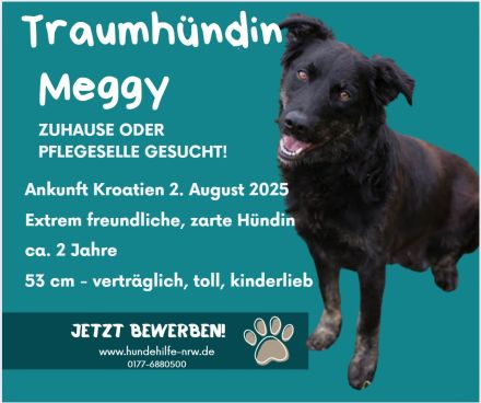 MEGGY – Wer ihr Herz gewinnt, hat eine Freundin fürs Leben!
