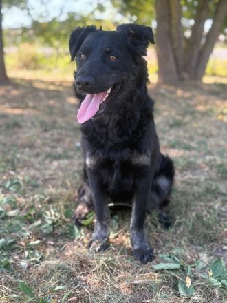 MEGGY – Wer ihr Herz gewinnt, hat eine Freundin fürs Leben!