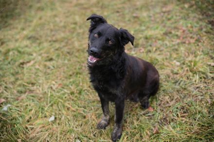 MEGGY – Wer ihr Herz gewinnt, hat eine Freundin fürs Leben!