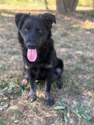 MEGGY – Wer ihr Herz gewinnt, hat eine Freundin fürs Leben!