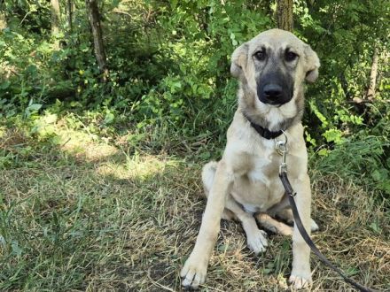 Hope blickt hoffnungsvoll in die Zukunft