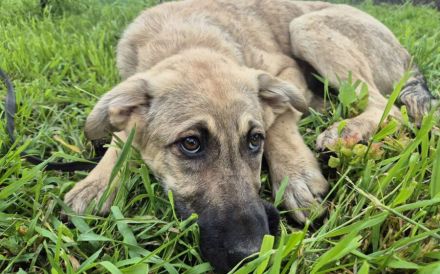 Hope blickt hoffnungsvoll in die Zukunft