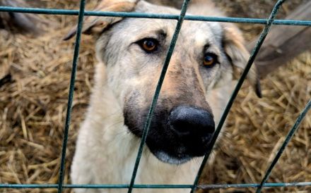 Hope blickt hoffnungsvoll in die Zukunft