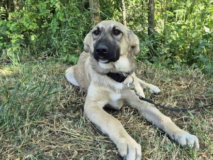 Hope blickt hoffnungsvoll in die Zukunft