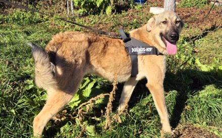 Hope blickt hoffnungsvoll in die Zukunft