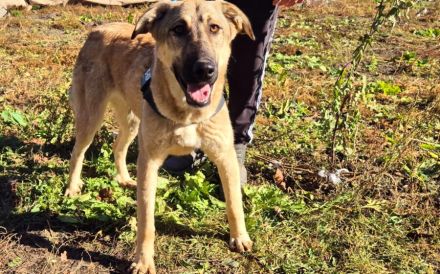 Hope blickt hoffnungsvoll in die Zukunft