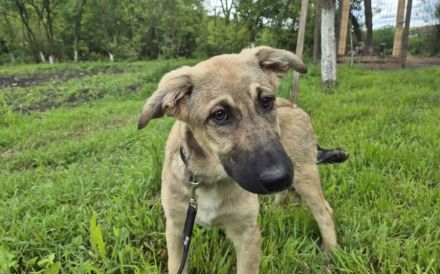 Hope blickt hoffnungsvoll in die Zukunft