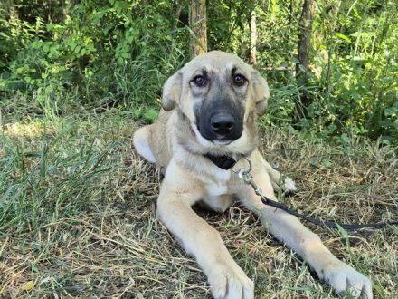Hope blickt hoffnungsvoll in die Zukunft