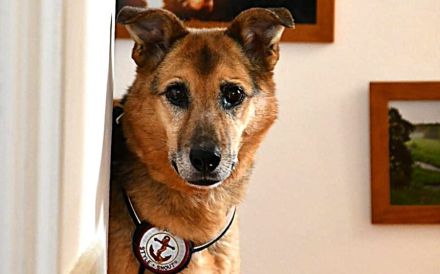 Susa sucht ihre Menschen