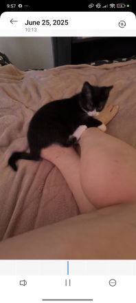 sassy sucht dringend ein neues liebevolles Zuhause