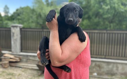 Smarty hofft eine eine tolle Zukunft