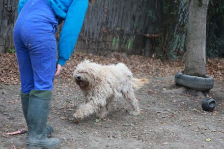 Lili -  ist eine Flitzefluse die noch ddie Welt erobern muss