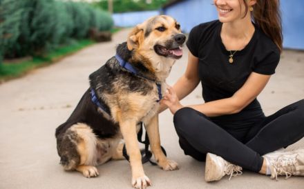 Zauberhafte Jojo sucht ihre Menschen