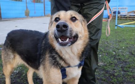 Zauberhafte Jojo sucht ihre Menschen