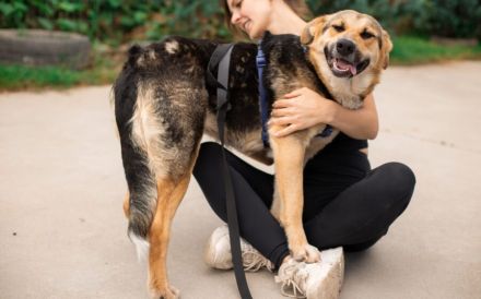 Zauberhafte Jojo sucht ihre Menschen