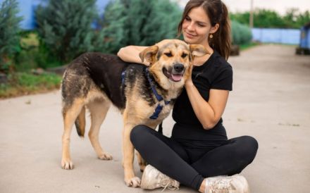 Zauberhafte Jojo sucht ihre Menschen