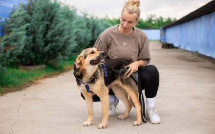 Zauberhafte Jojo sucht ihre Menschen